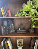 Wild Tide Altar Books. Shop online; photo of handmade leather journals in green, yellow, deep reddish brown. Shown on bookshelf with plant